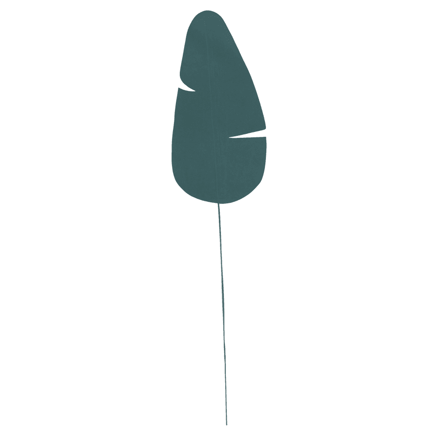 Planta gerecycled papier Leaf, June Bug (set van 6)