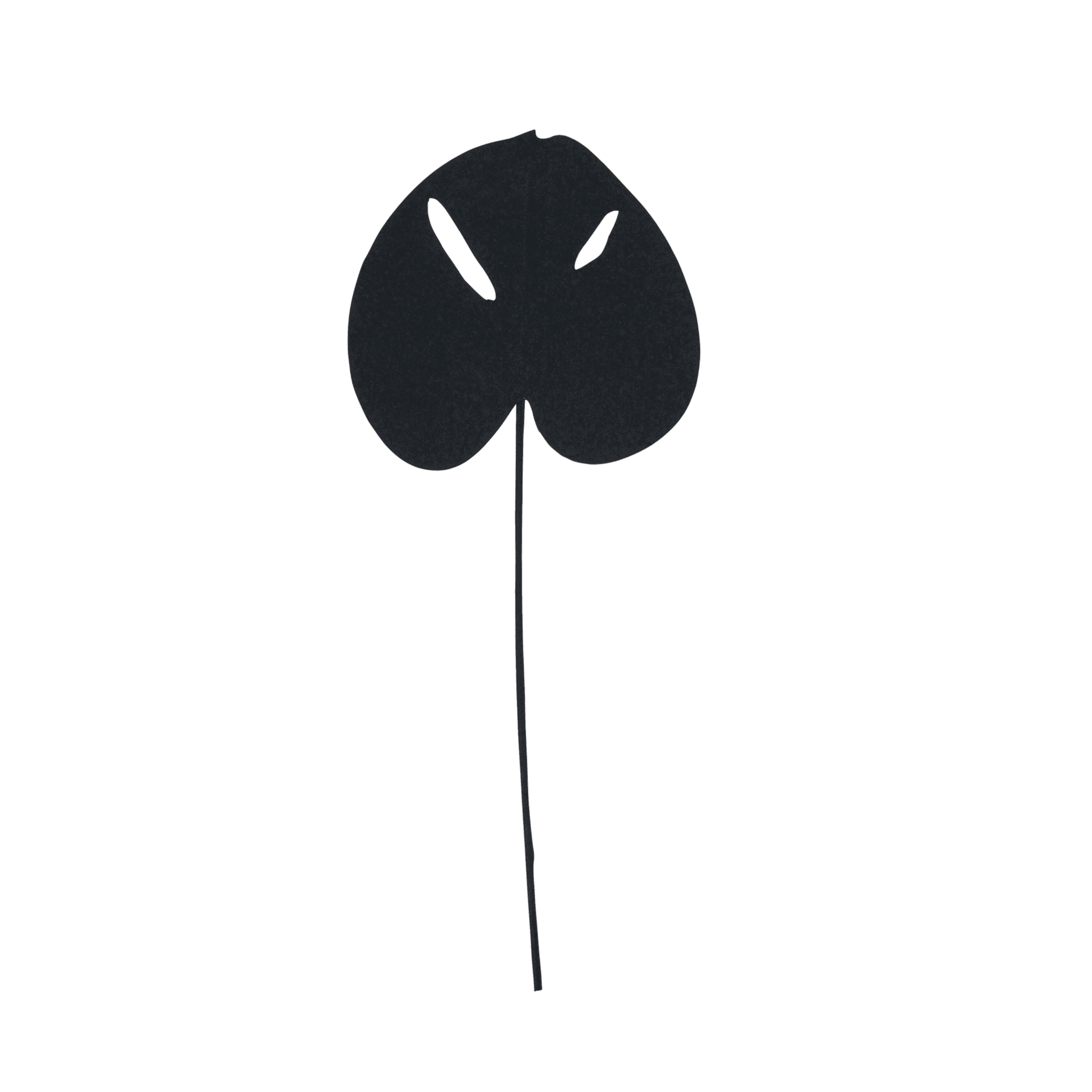 Planta gerecycled papier Monstera, zwart (set van 6)