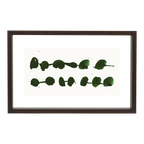 Grote zwevende fotolijst van walnoot