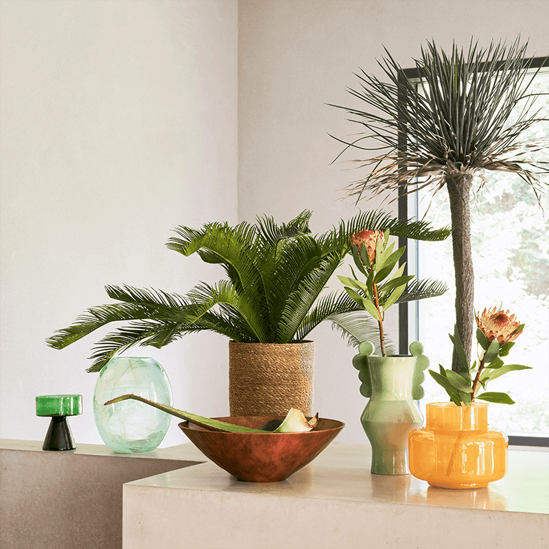 Vaas Circulo Lichtgroen