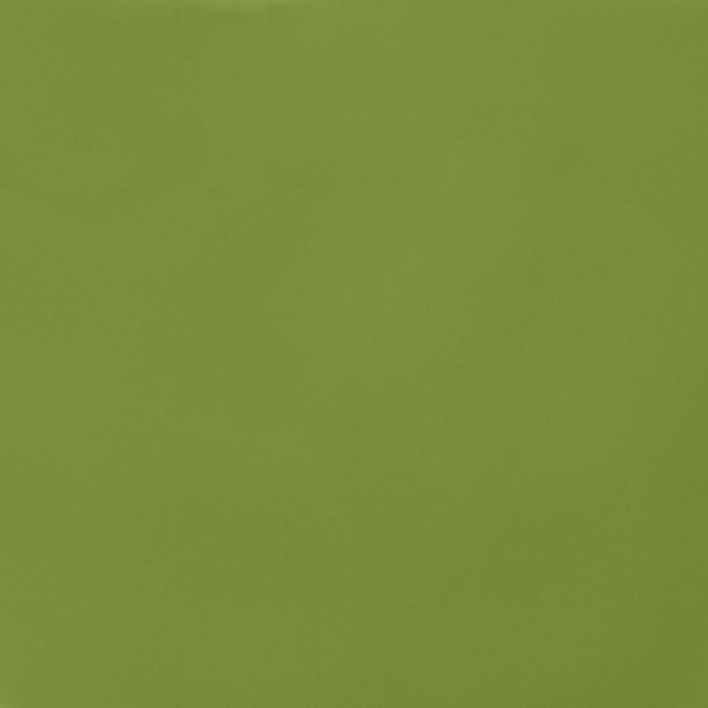 Goedemorgen kopje cappuccino/thee Ø11 cm - Ever Green Sprig (set van 4)