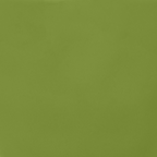 Goedemorgen kopje cappuccino/thee Ø11 cm - Ever Green Sprig (set van 4)