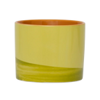 Mok Tazza, dennentakje