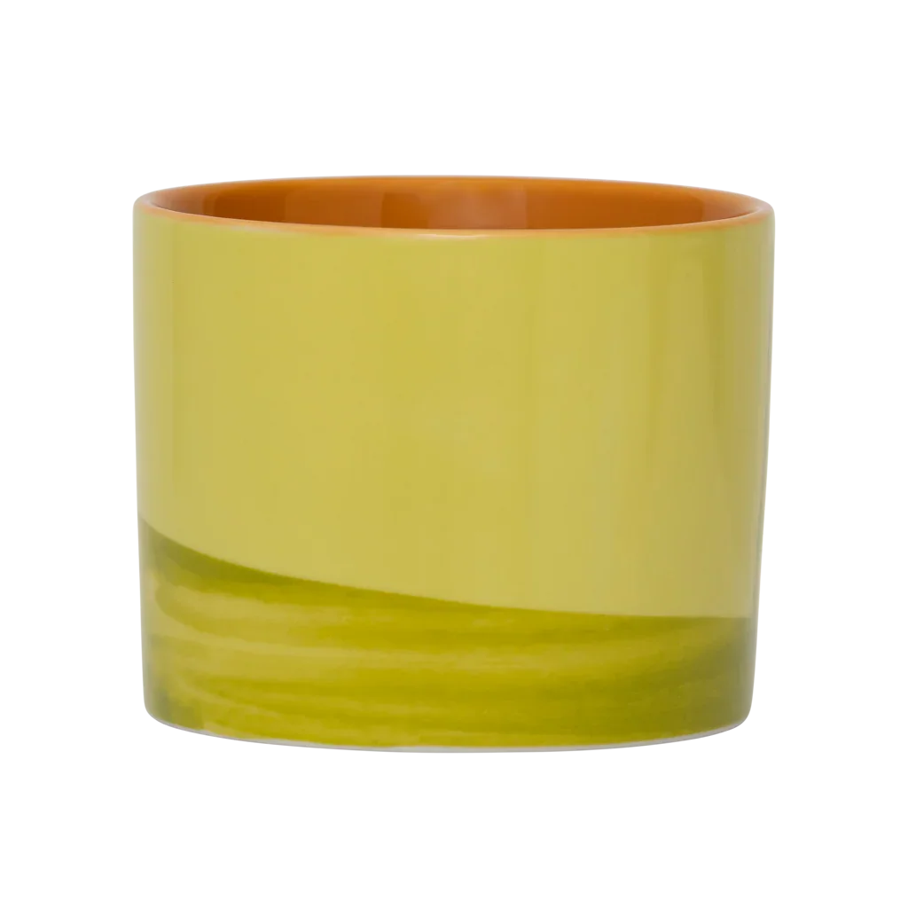 Mok Tazza, dennentakje