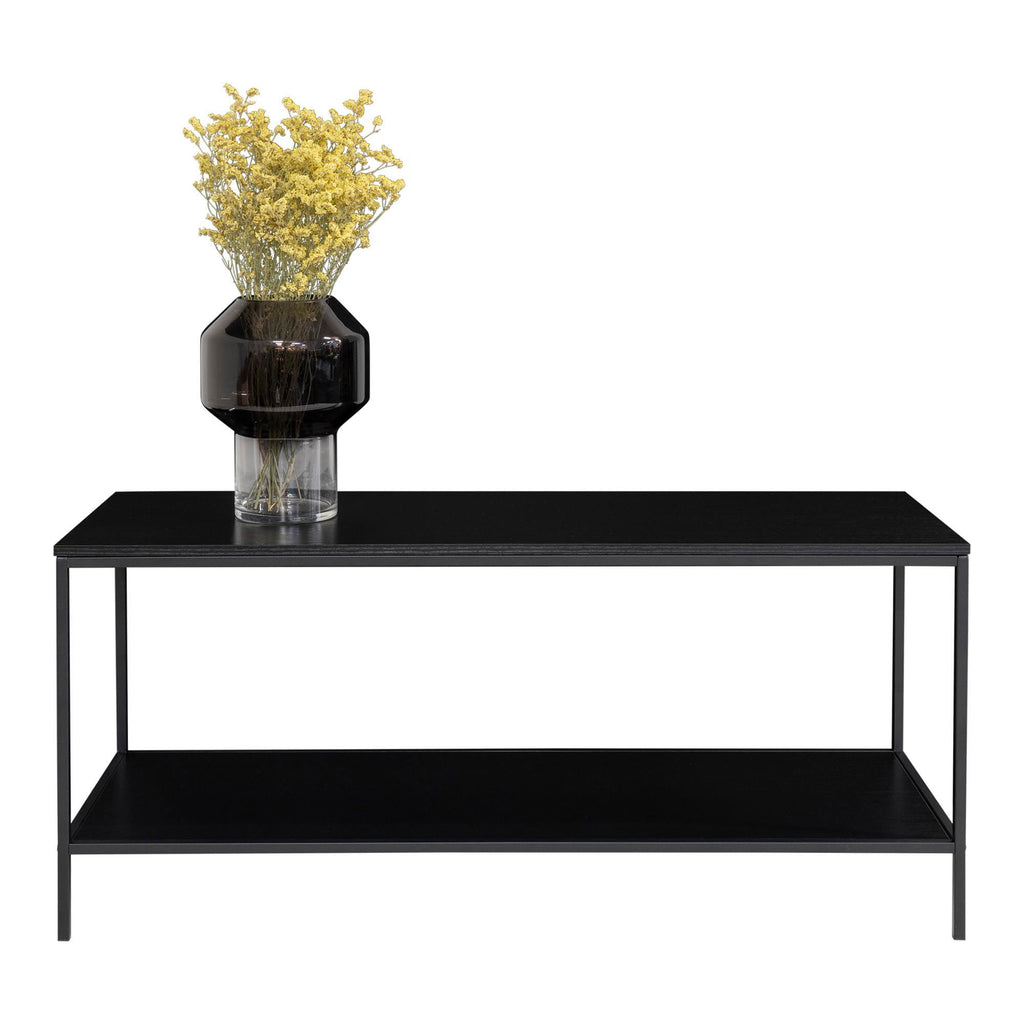 Vita tv-stand - tv-meubel, 2 planken, zwart, zwart frame 100x36x45 cm