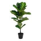 Vioolbladplant - kunstplant, groen H:100 cm