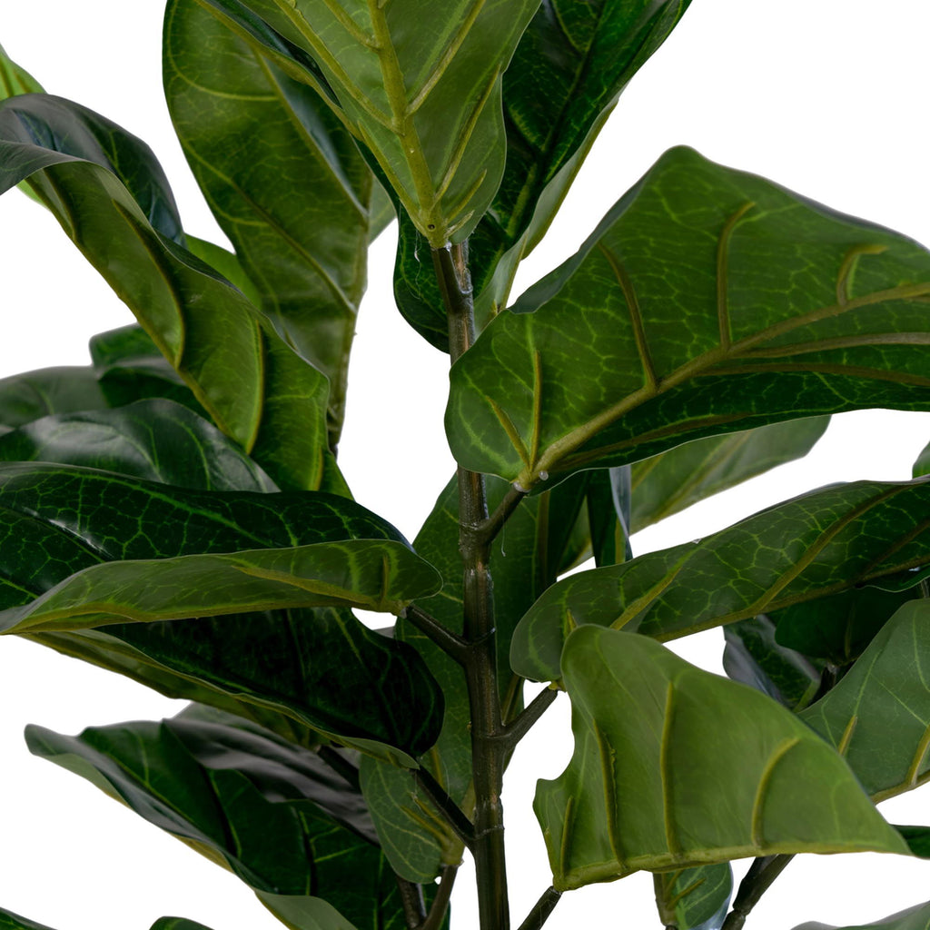 Vioolbladplant - kunstplant, groen H:100 cm