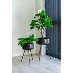 Monstera - Kunstplant, groen H:45 cm