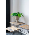 Monstera - Kunstplant, groen H:45 cm