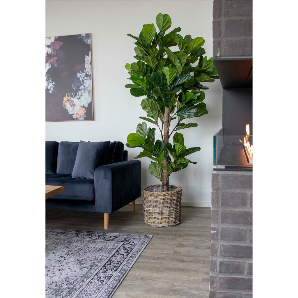 Vioolbladboom - Kunstplant, groen H:190 cm