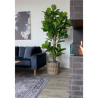 Vioolbladboom - Kunstplant, groen H:190 cm